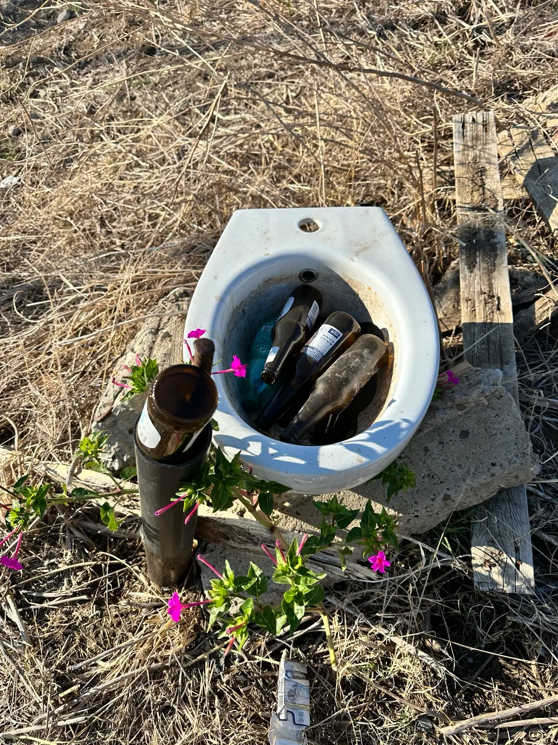 Rifiuti abbandonati in Via Pasolini, Marconia